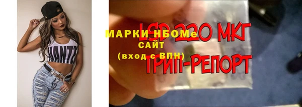 ГАЛЛЮЦИНОГЕННЫЕ ГРИБЫ Вязьма